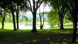 03062303.jpg [6/23/2003]