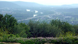 03070501.jpg [7/5/2003]